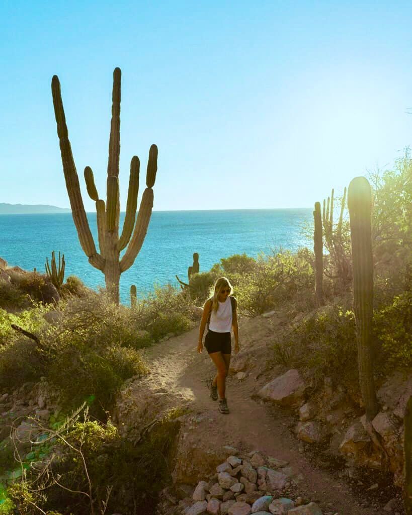 Woman hiking on a coastal trail with cacti, blue ocean, and bright sky.