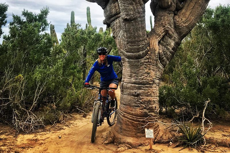 Woman on a mountain bike rides past a large tree on a desert trail; blue shirt, shorts.