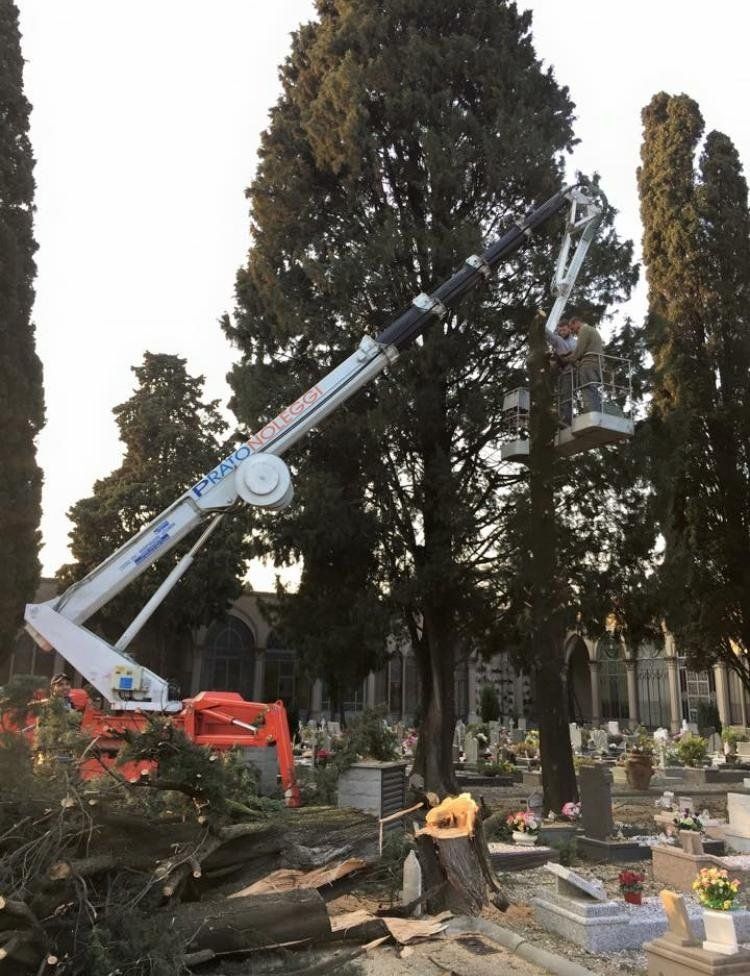 Piattaforma a ragno per intervento su albero