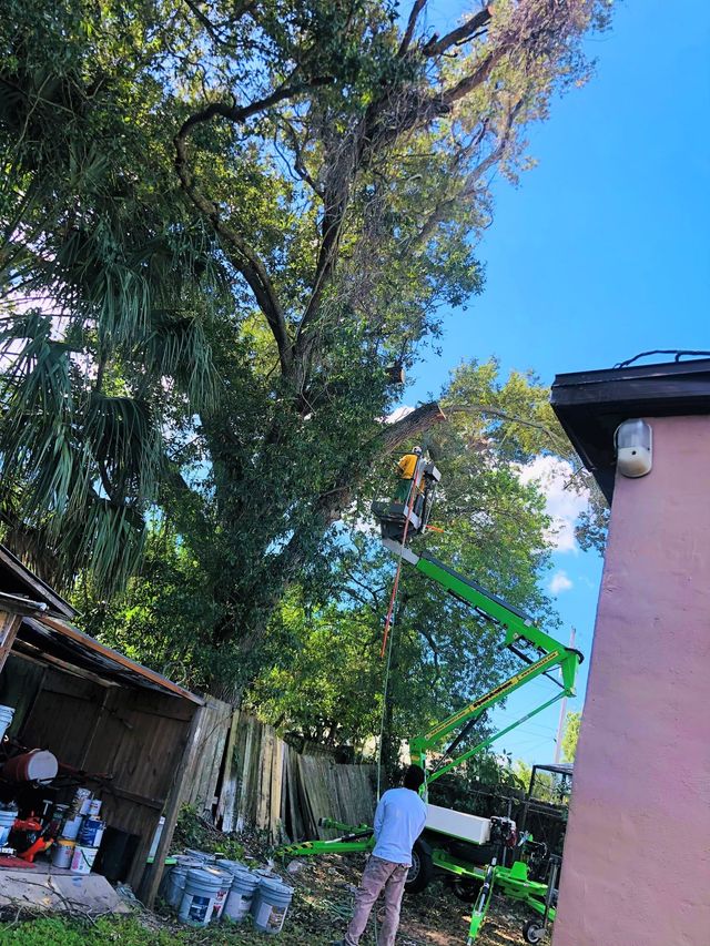 Person operating a green cherry picker beside a house under tall trees in a sunny yard