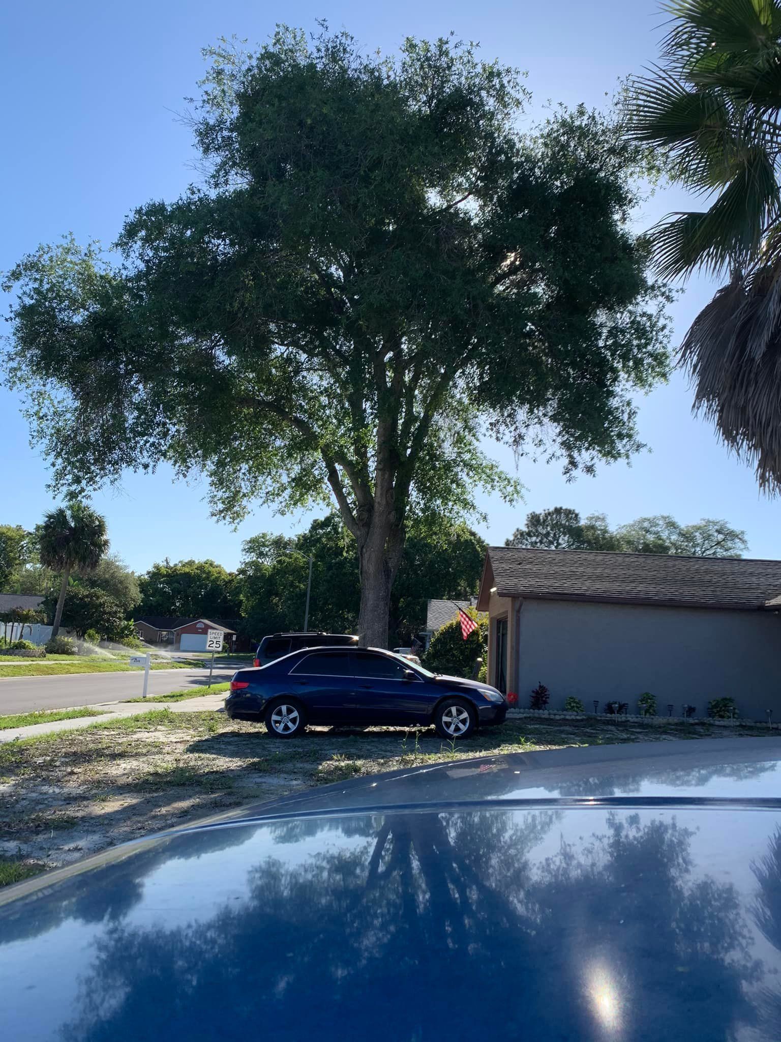 Blue car parked beside a house under a large tree on a sunny residential street.