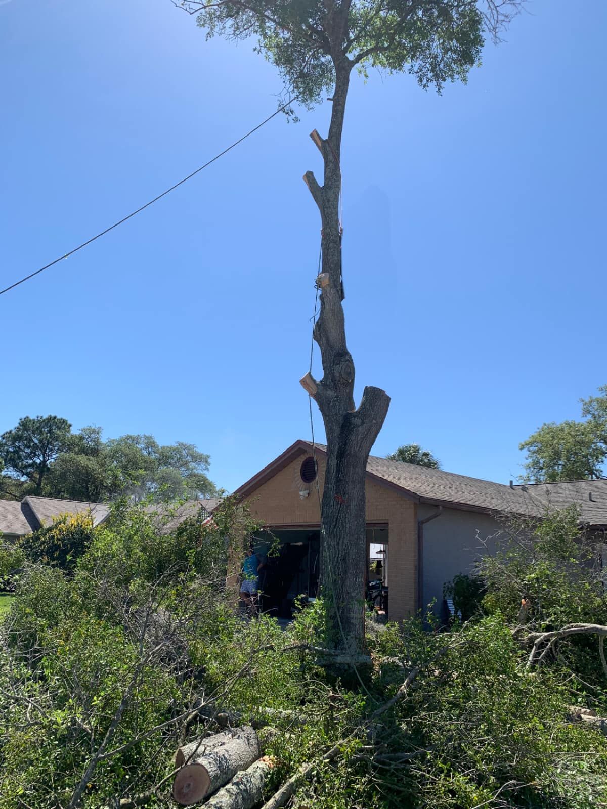 Tall tree stump in a front yard with a house and blue sky in the background