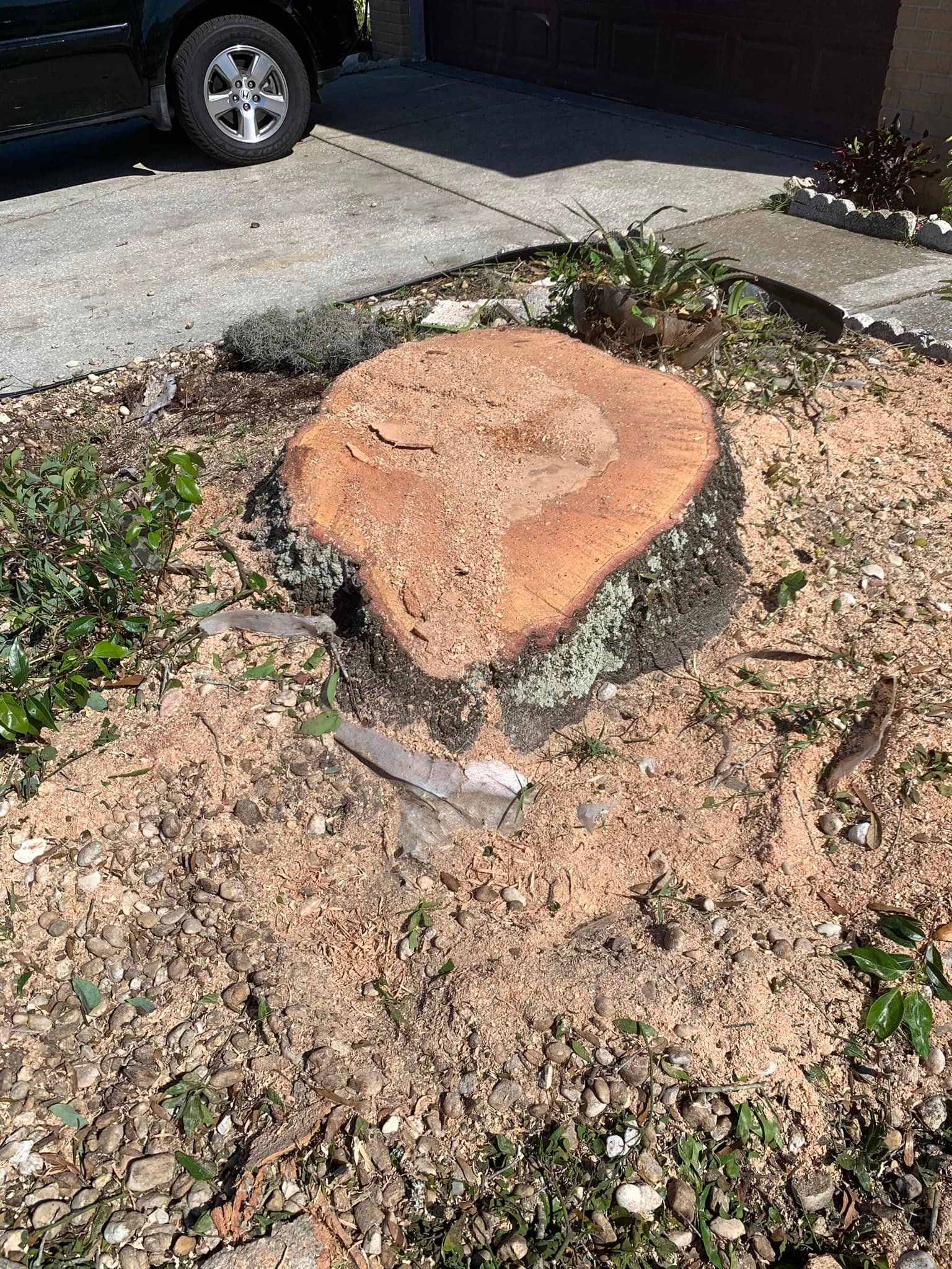 Heart-shaped orange stone in a garden bed beside a driveway and parked car