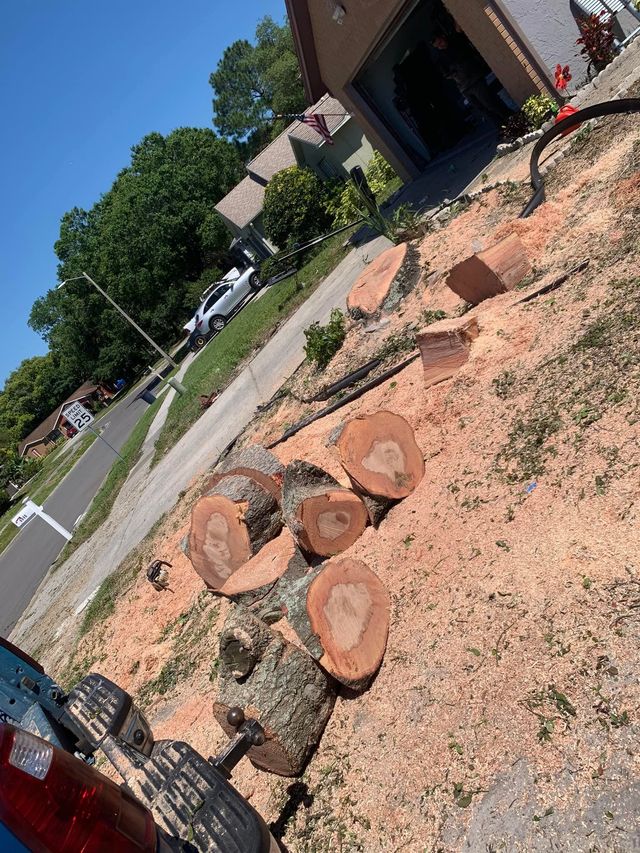 Rock landscape in a front yard beside a driveway and house, with a car and trees in the background.