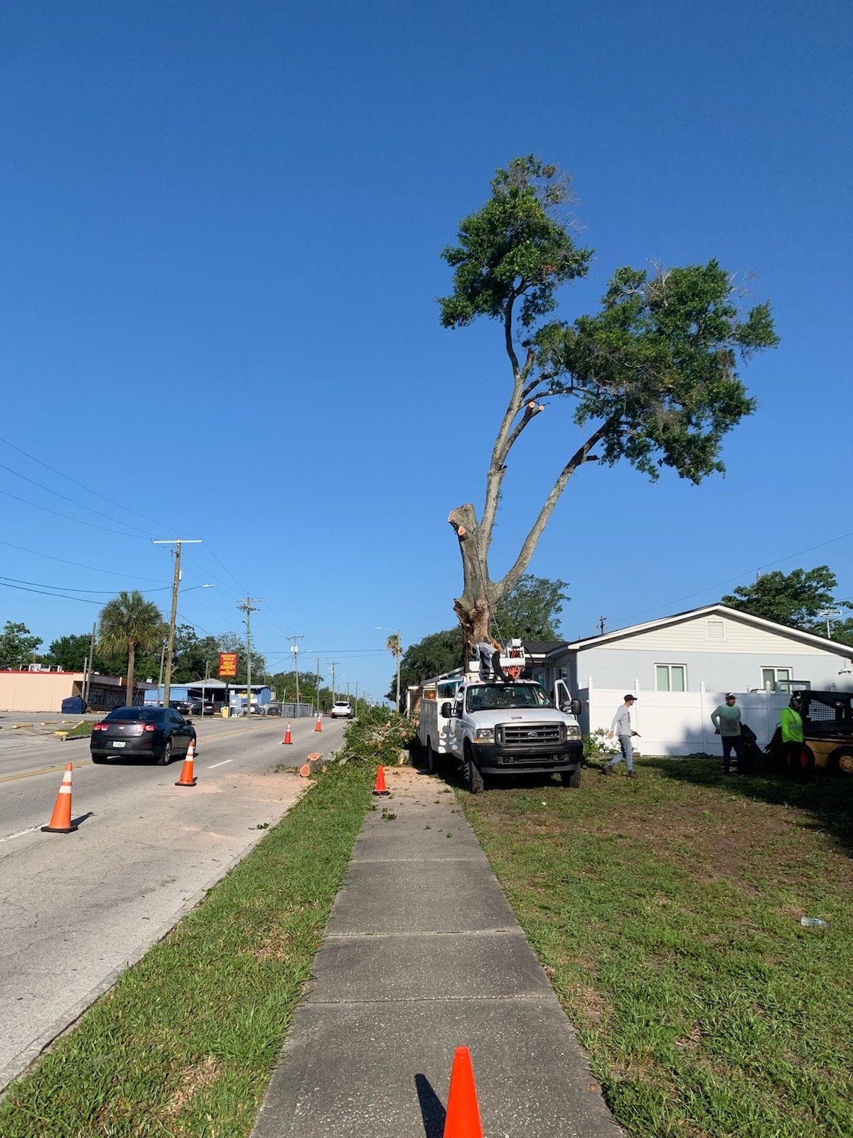 Tree-trimming truck beside a sidewalk under a leaning tree on a sunny residential street