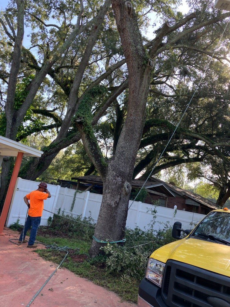 Person in orange stands by a large tree in a yard; yellow truck is parked nearby.