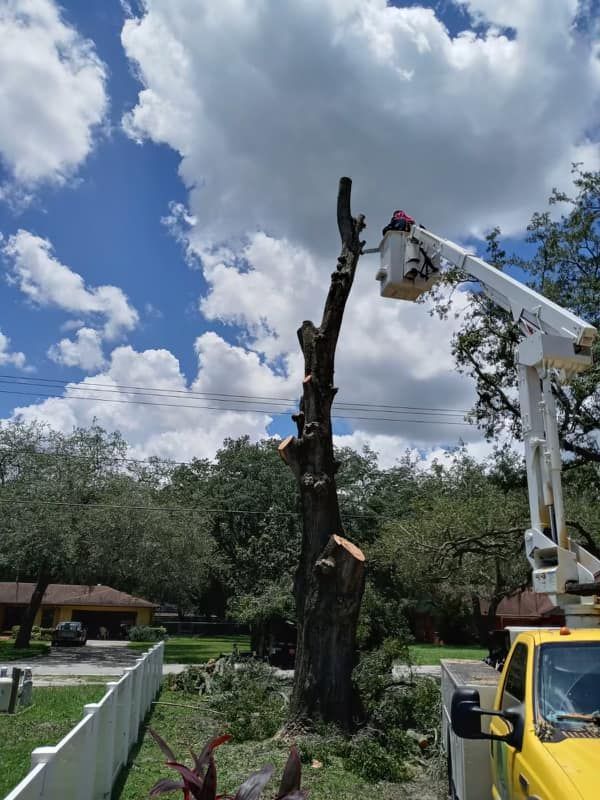Worker in bucket truck trimming a dead tree beside a house under a cloudy blue sky