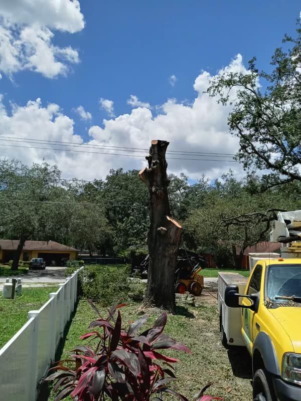 Yellow Jeep beside a large tree stump in a sunny yard, with a white fence and red plants in front