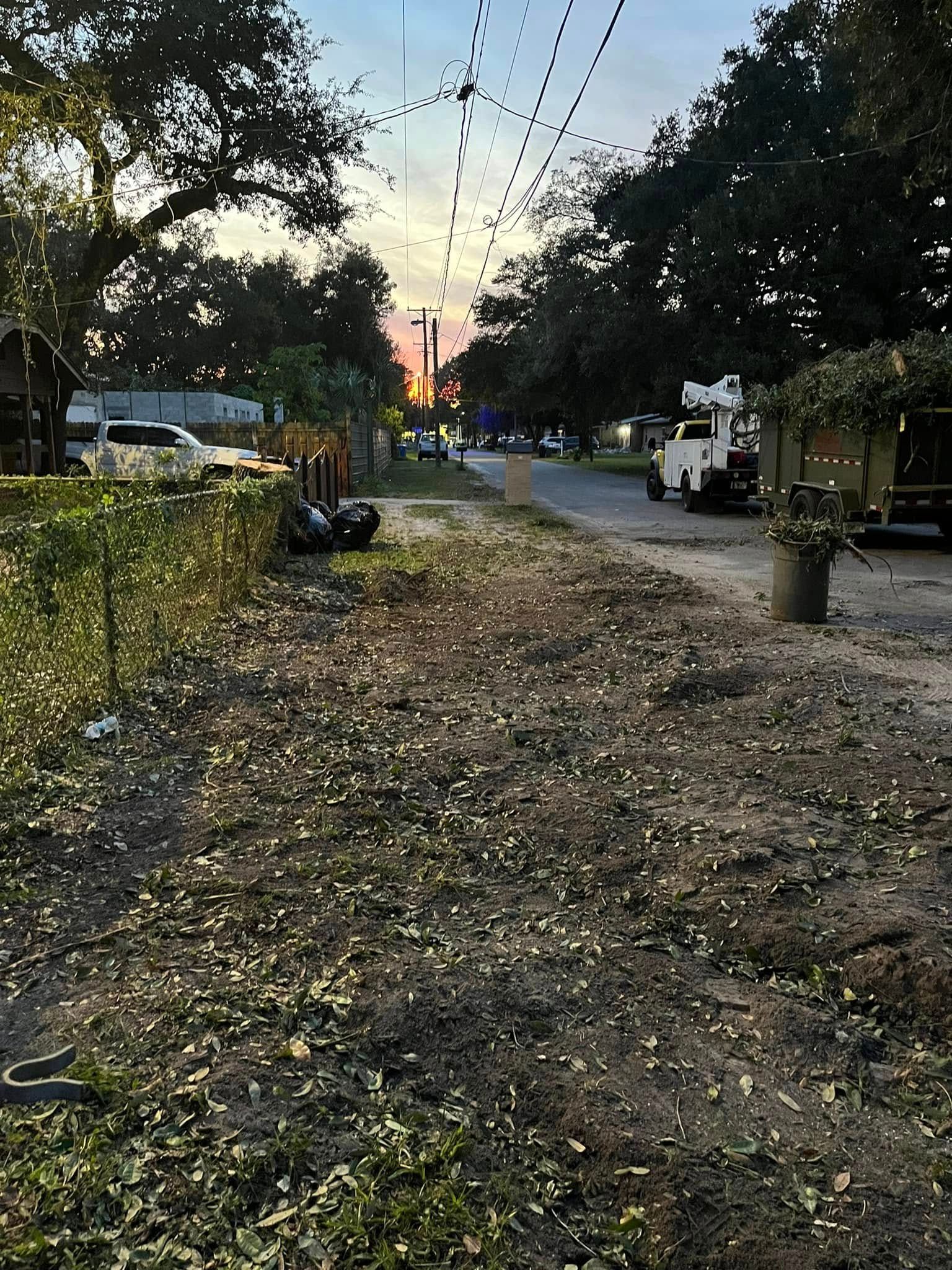 Tree-lined dirt road at dusk with parked cars, scattered leaves, and hanging string lights.