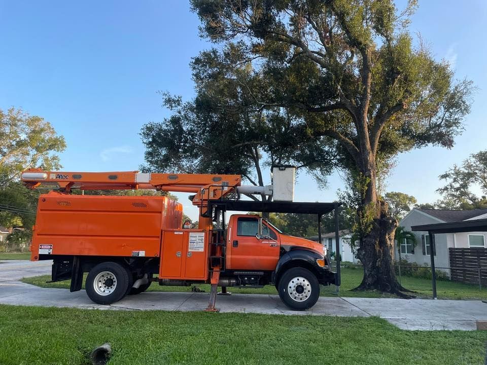 Orange utility truck parked beside a large tree on a residential street