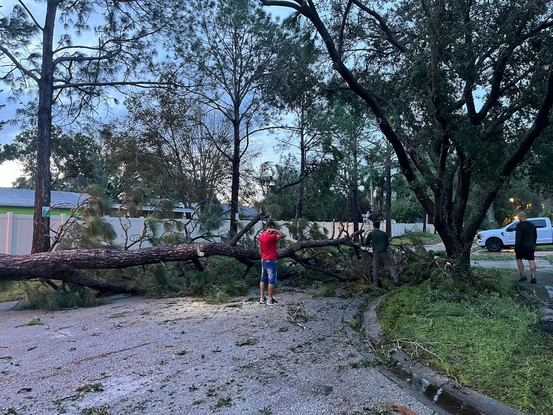 Fallen tree blocks a gravel path while two people inspect storm damage in a neighborhood.
