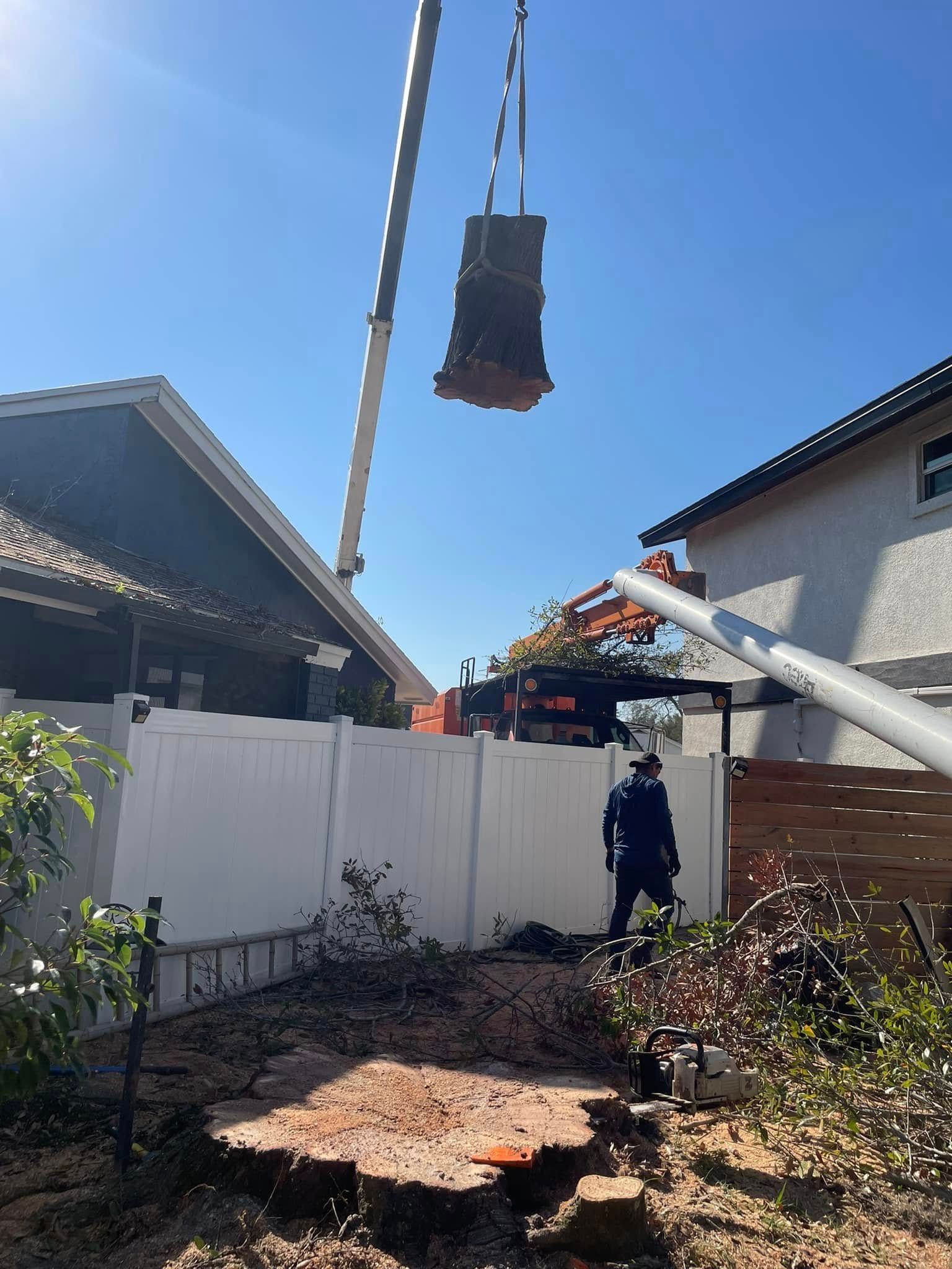 Excavator lifting a large tree stump over a fenced backyard beside houses under a blue sky