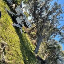 White picnic table beside a leaning tree in a sunlit grassy park