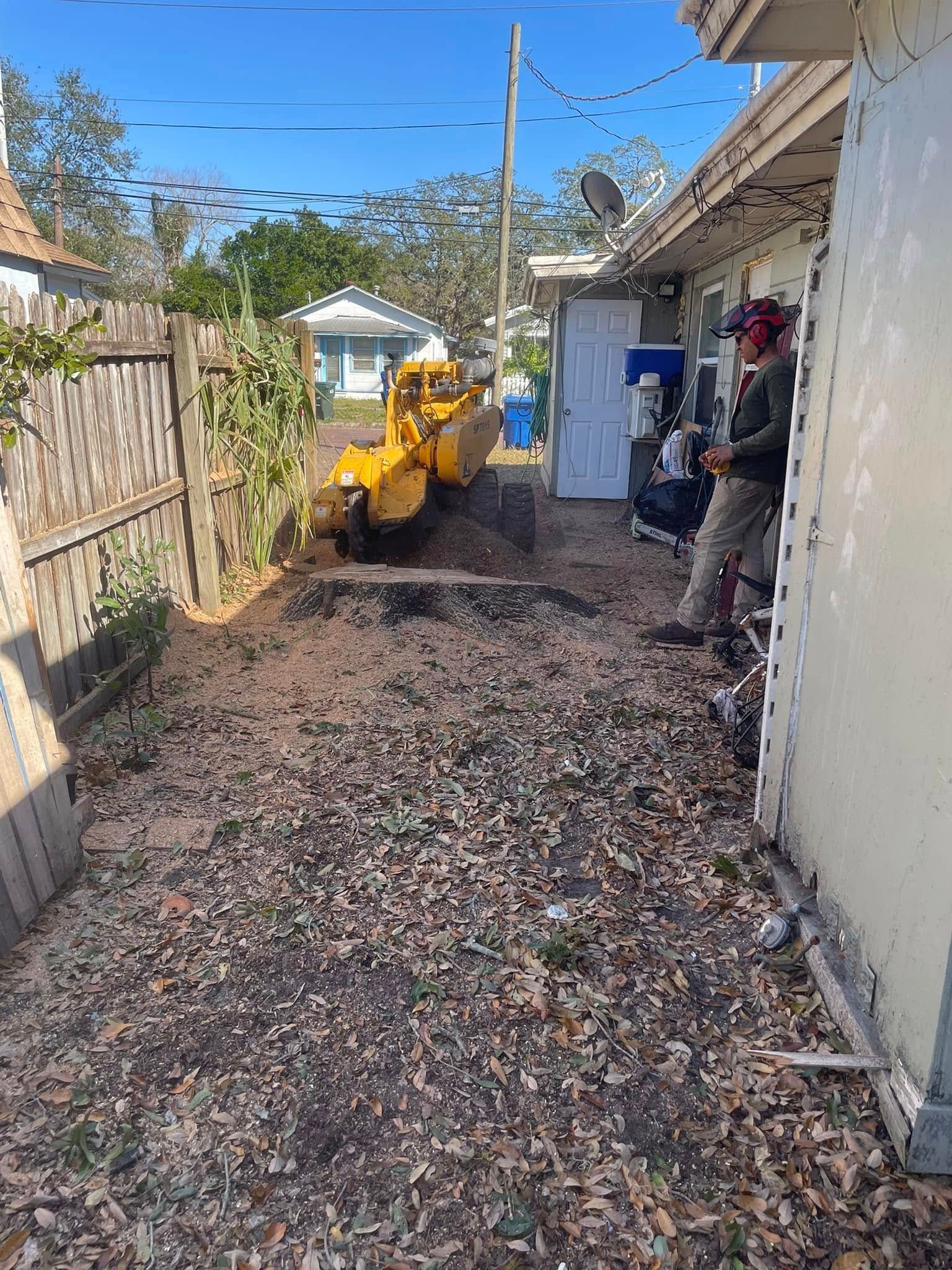 Yellow mini excavator clearing leaves in a narrow side yard beside a house Yellow mini excavator clearing leaves in a narrow side yard beside a house