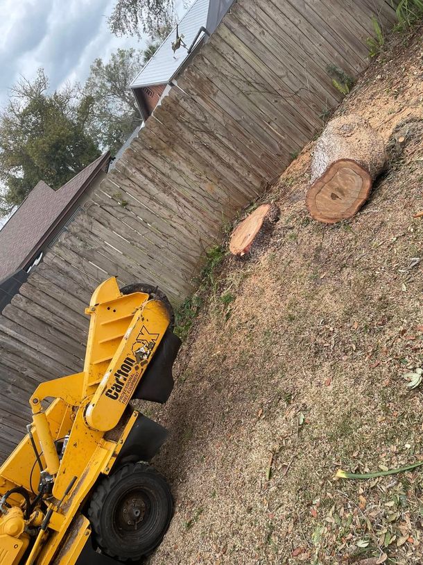 Yellow construction machine beside a wooden fence, with two cut tree stumps on gravel.