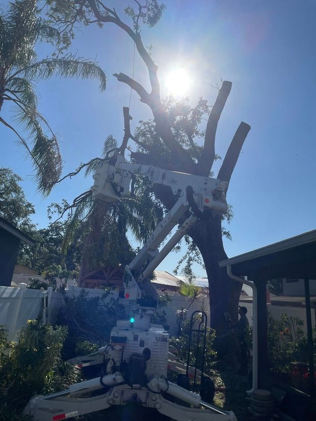 Tall white sculpture outdoors in a sunny garden, backlit by the sun with trees and houses nearby