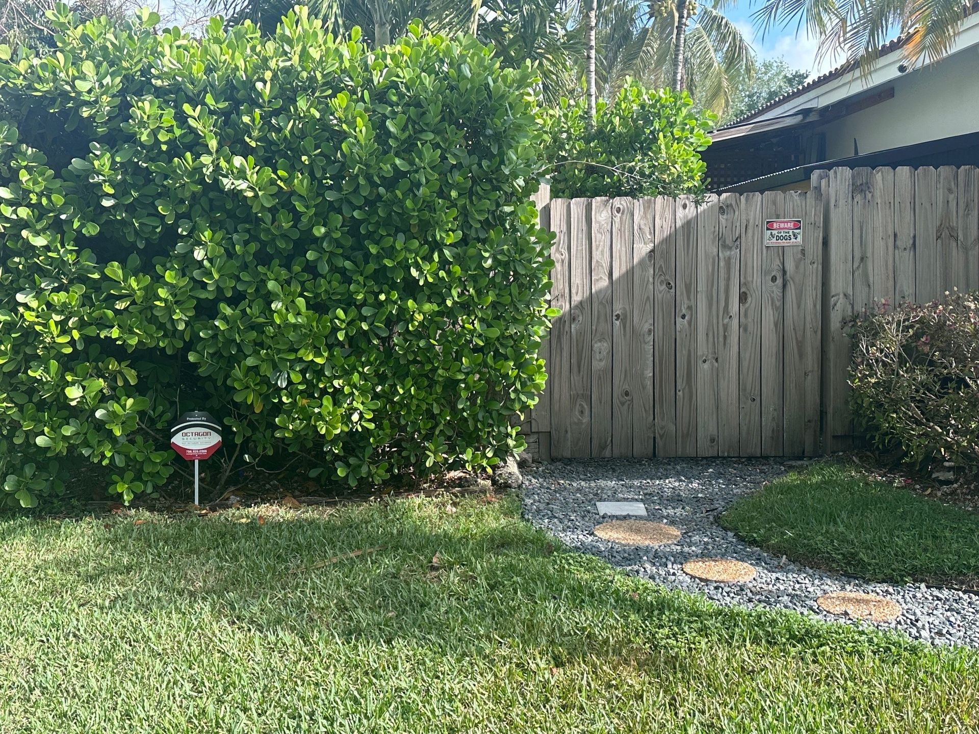 Green hedge next to a weathered wooden gate with a stone path leading into it.
