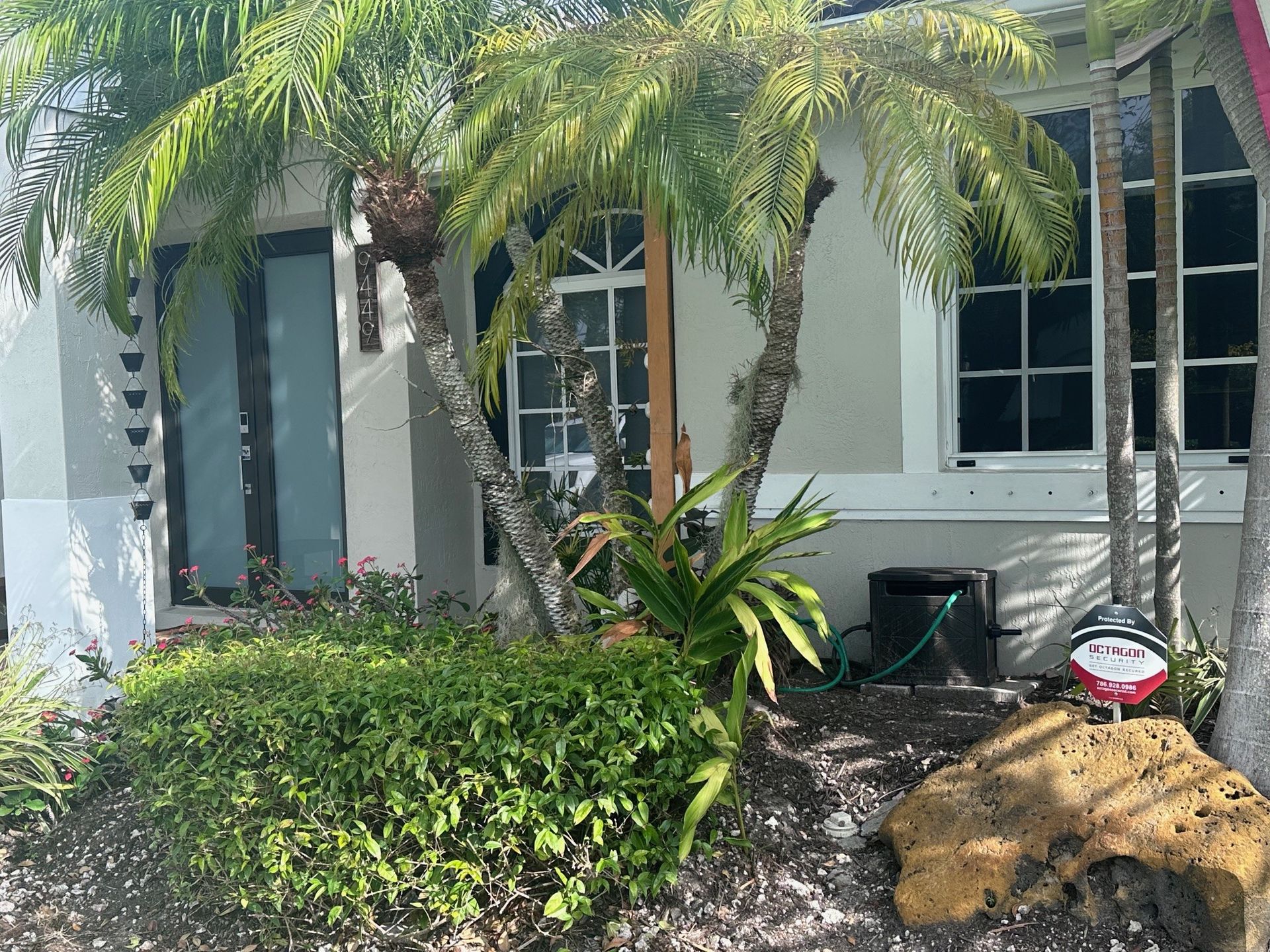 House exterior with palm trees, landscaping, and windows.