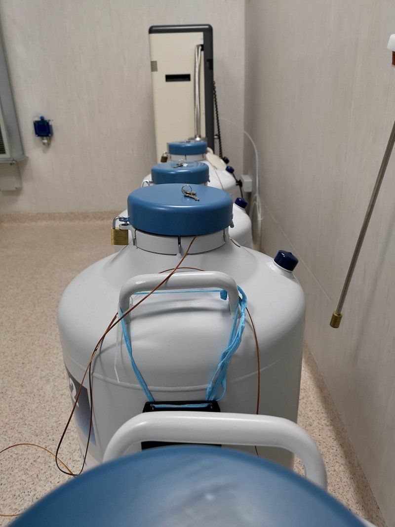 Dettaglio contenitori