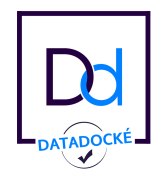 Un logo pour une entreprise appelée datadocke.