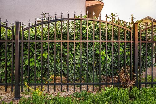 Black Iron Fence