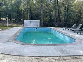 Pool with green water surrounded by concrete, trees in background, and lounge chairs.