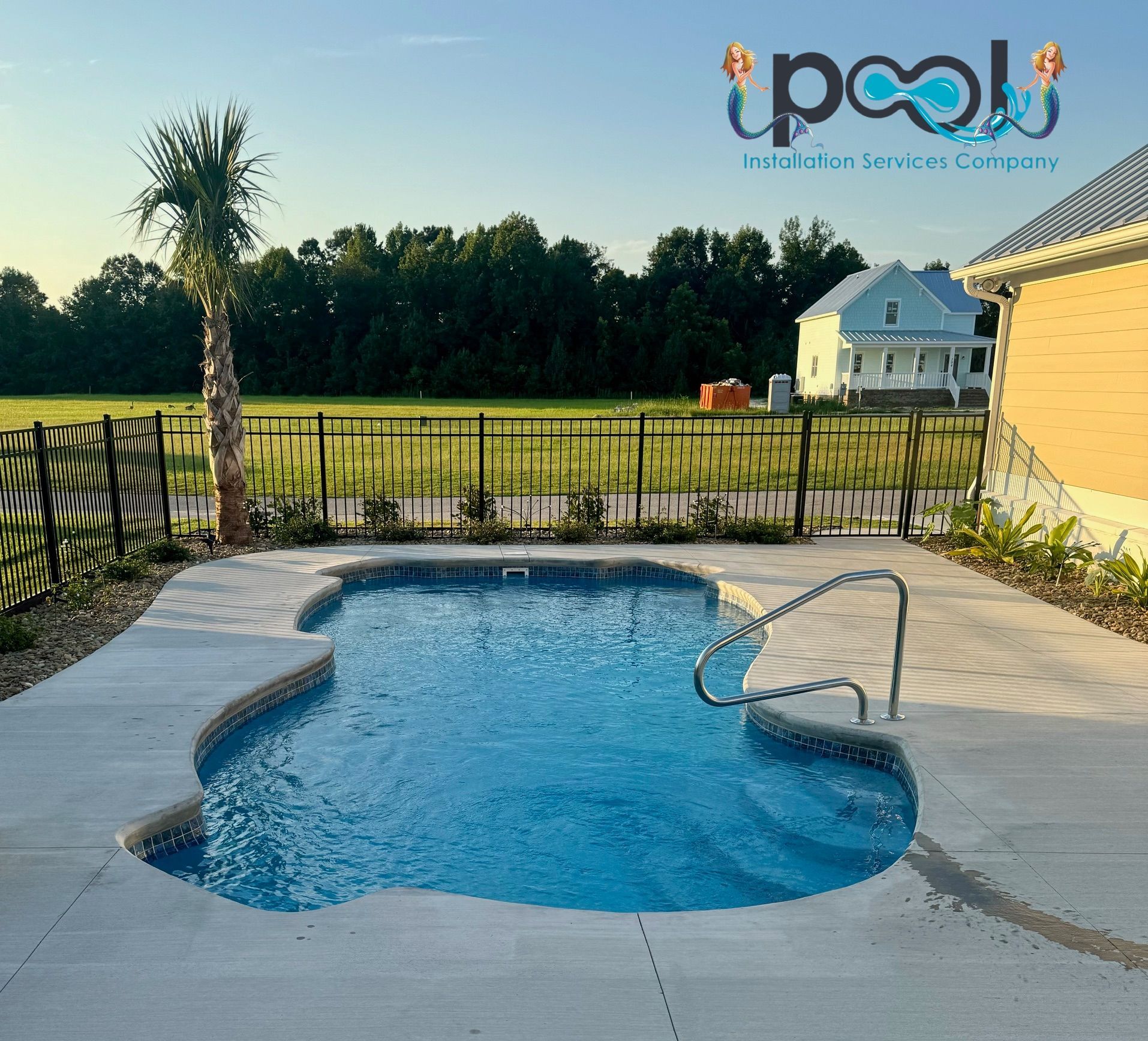 Swimming pool with blue water and concrete patio, palm tree, and black fence in the yard.
