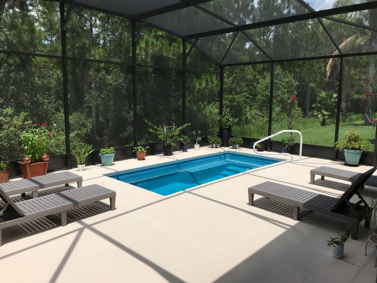 Screened-in pool area with blue water, surrounded by lounge chairs and potted plants, set against a green natural backdrop.