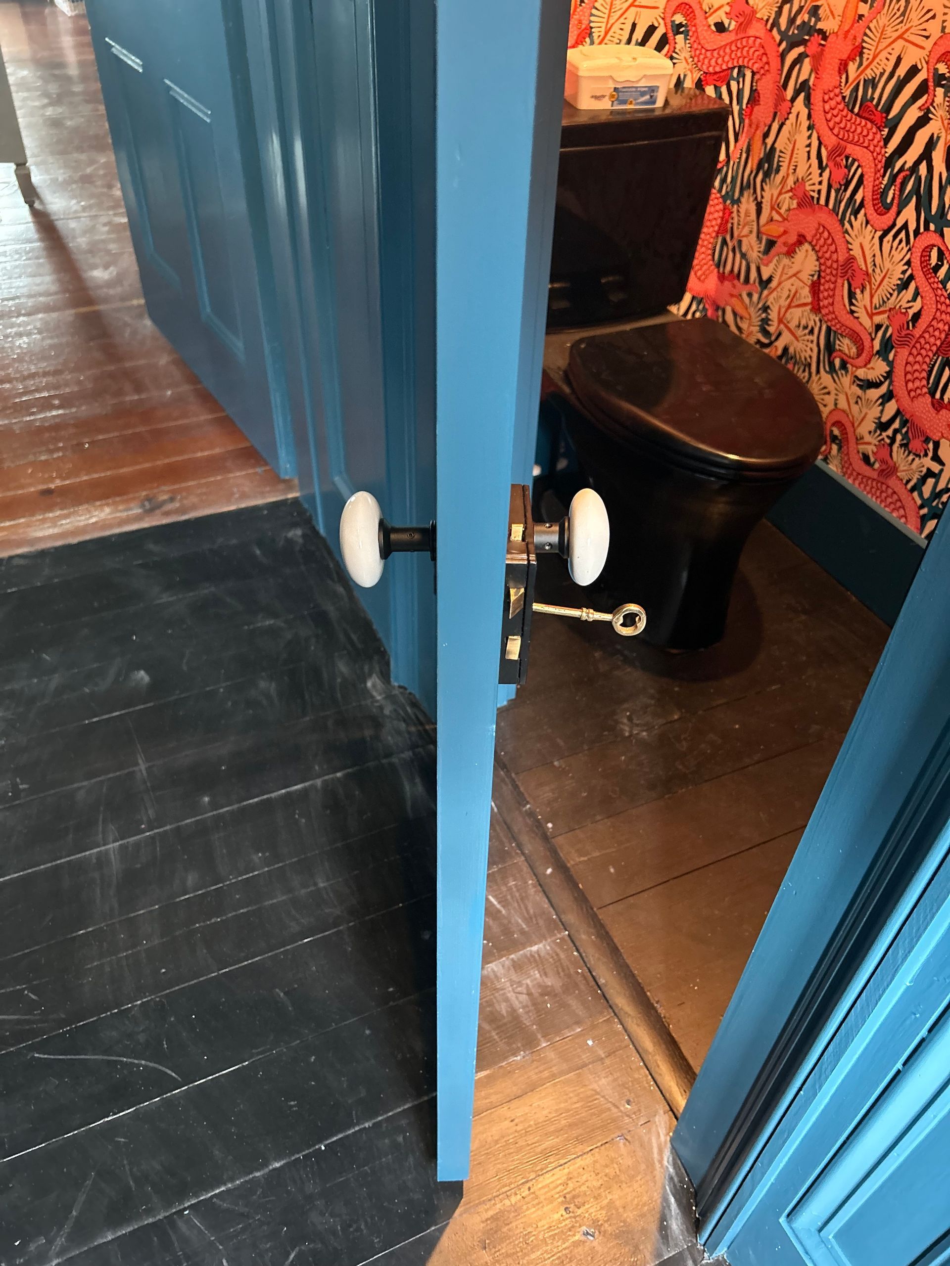 Blue door ajar, revealing black toilet and patterned wallpaper.