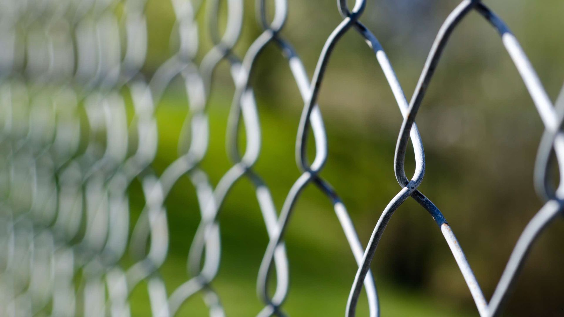 A close up of a chain link fence with a green background.