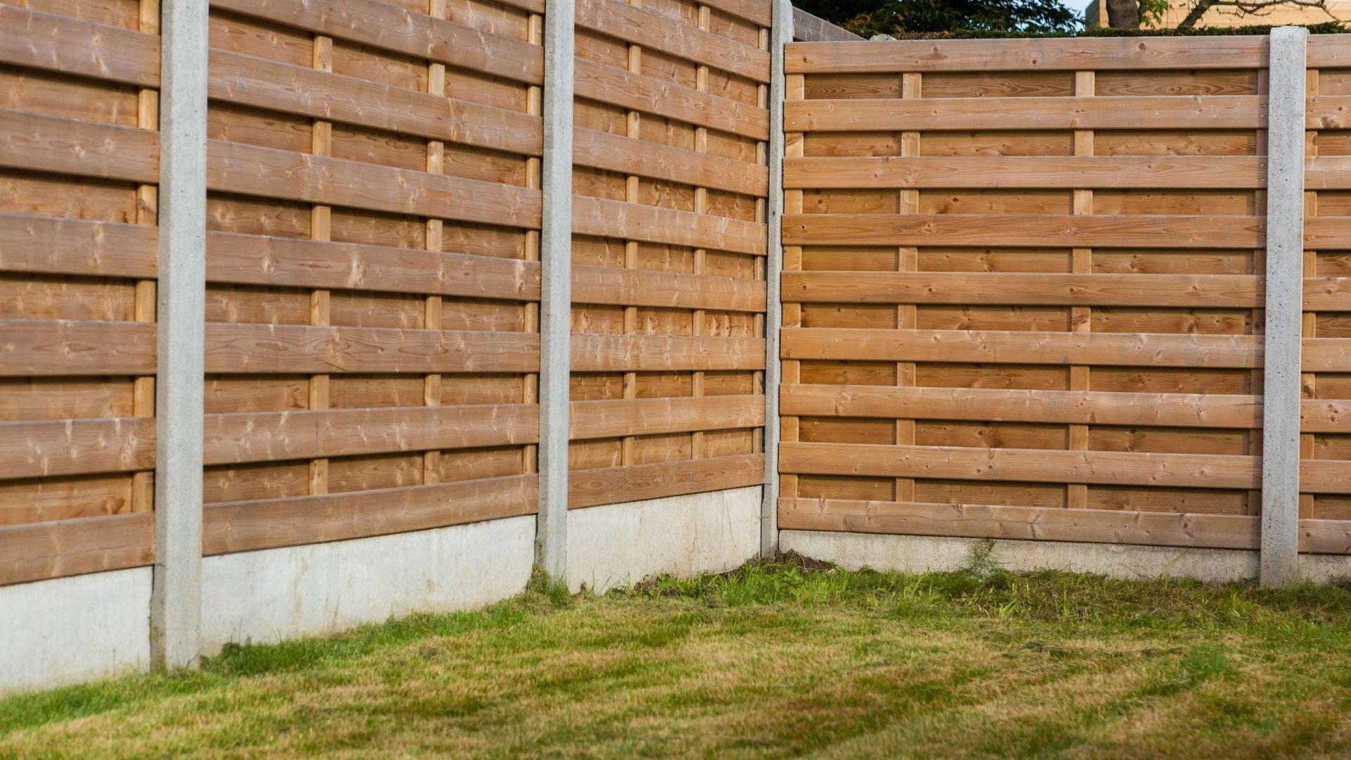 A wooden fence surrounds a lush green lawn in a backyard.