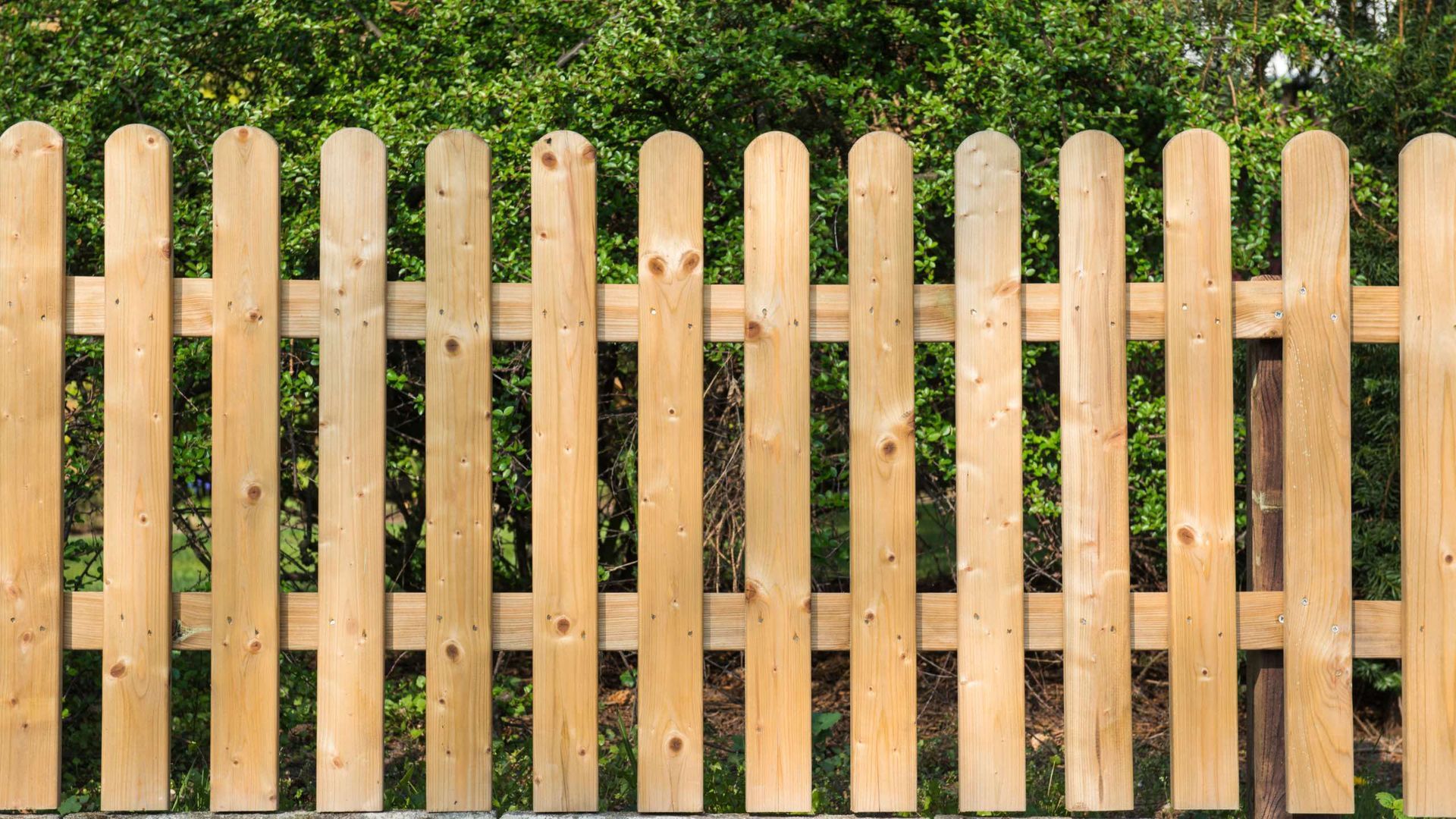 A wooden picket fence is surrounded by green bushes.