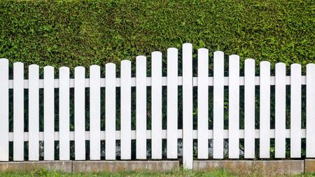 A white picket fence is surrounded by a green hedge.