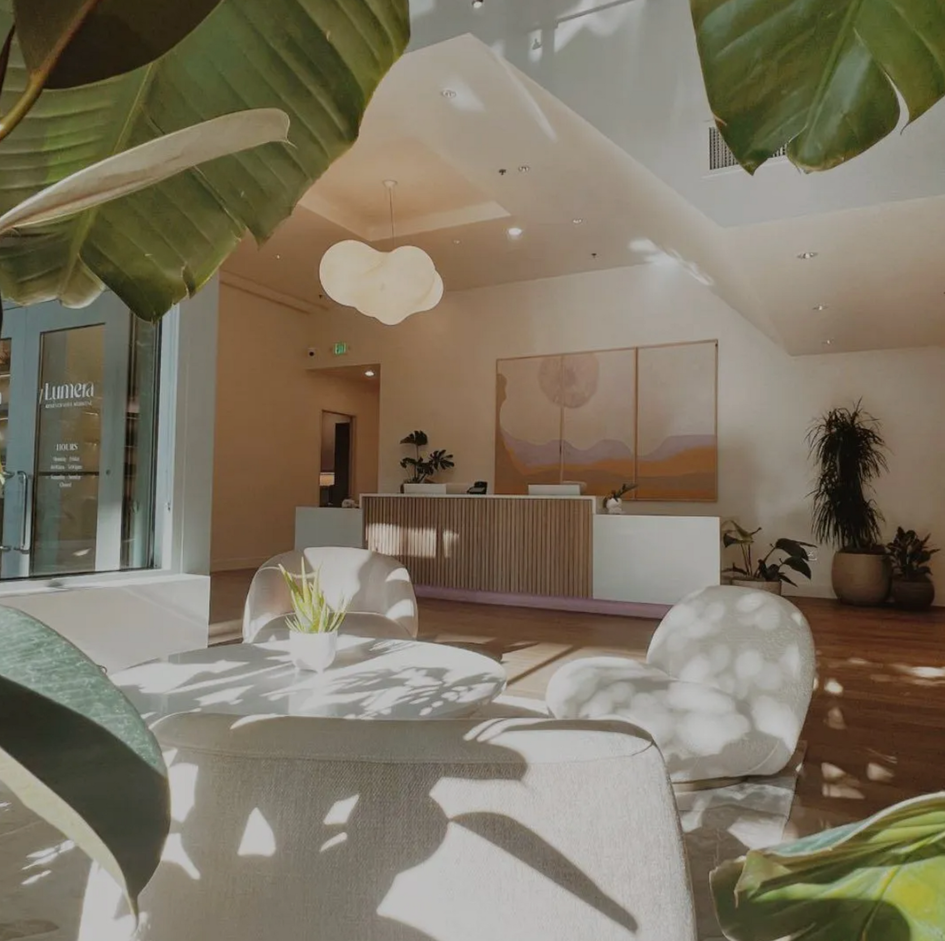Modern reception area with white curved counters and built-in storage
