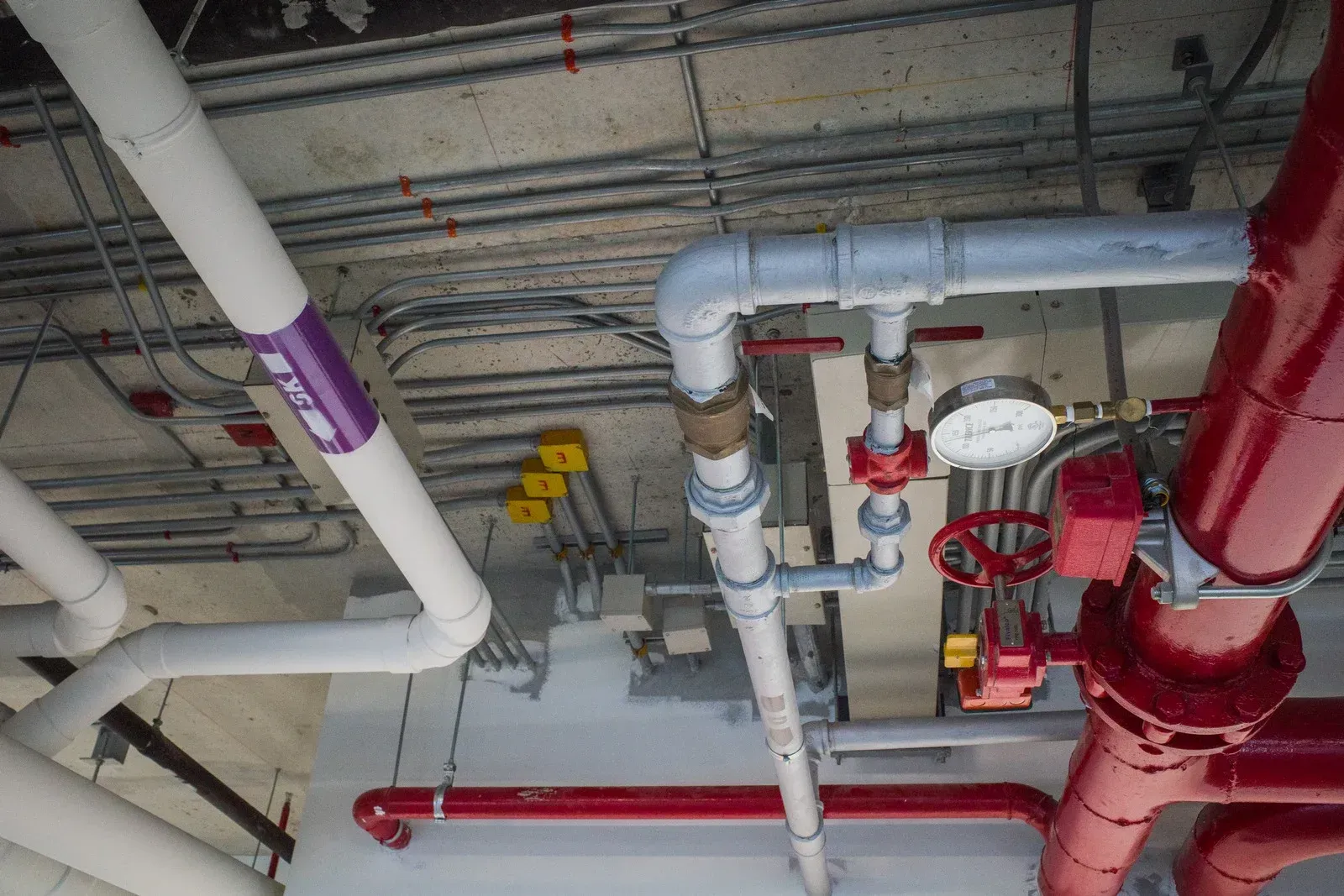 Red fire pump and tank in a utility room.