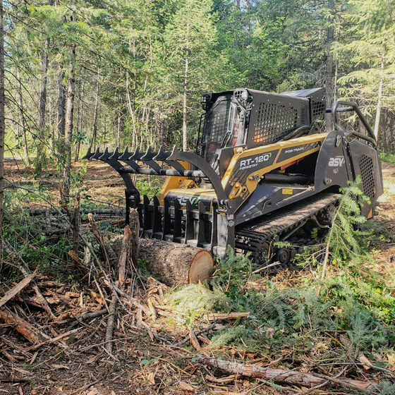 A bulldozer is cutting down trees in the woods.