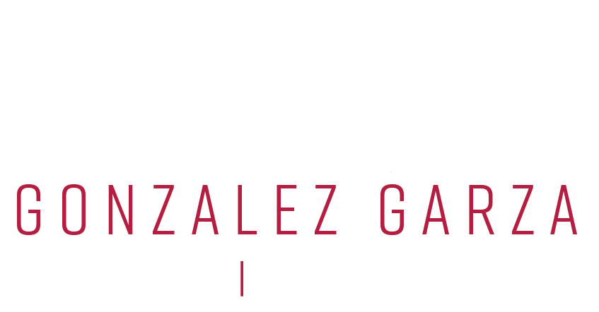 The logo for judge hidalgo co. probate court no. 2