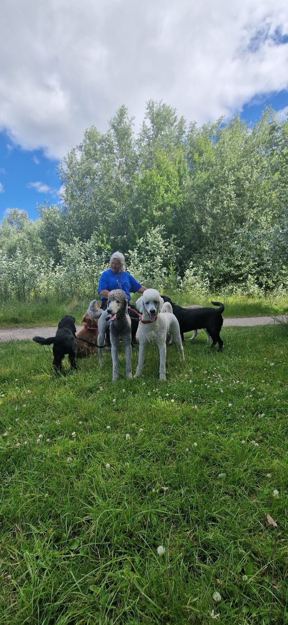 A person sits with several dogs on a grassy area near trees under a cloudy sky.
