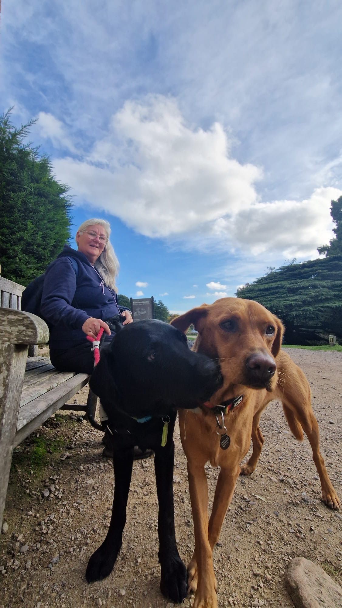 Woman on a bench with two dogs; black dog and brown dog. Sky with clouds above.