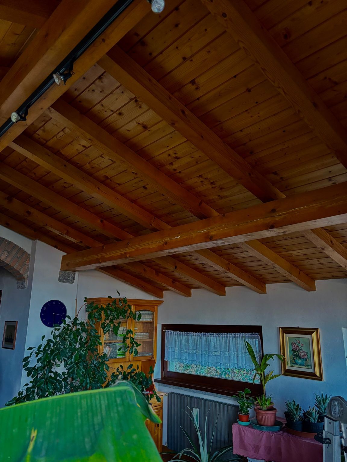 impresa guuiso prima