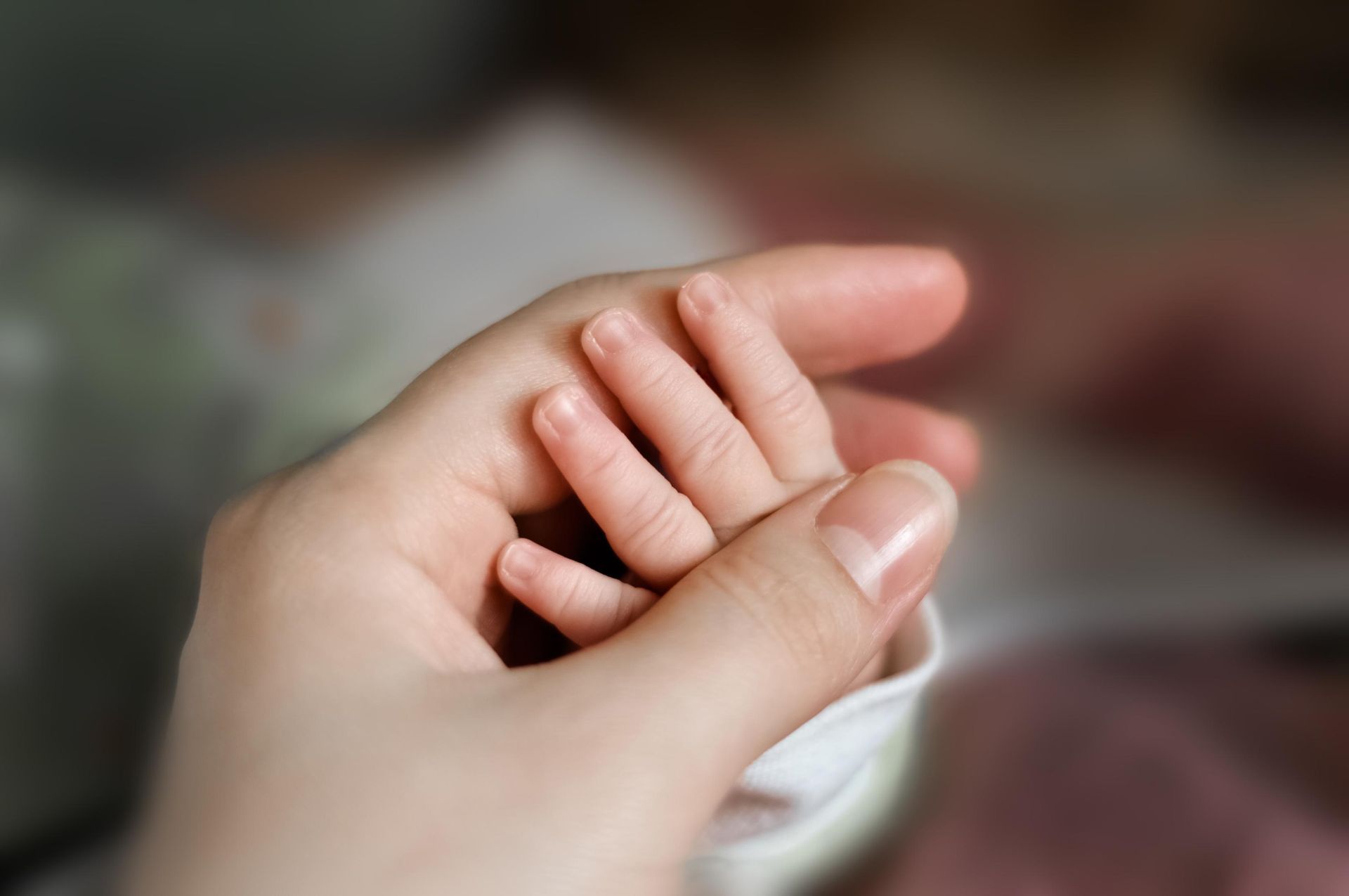 Adult hand holding a baby's tiny hand, fingers intertwined, soft focus.