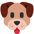 Dog face with brown ears, a black nose, and red tongue sticking out.