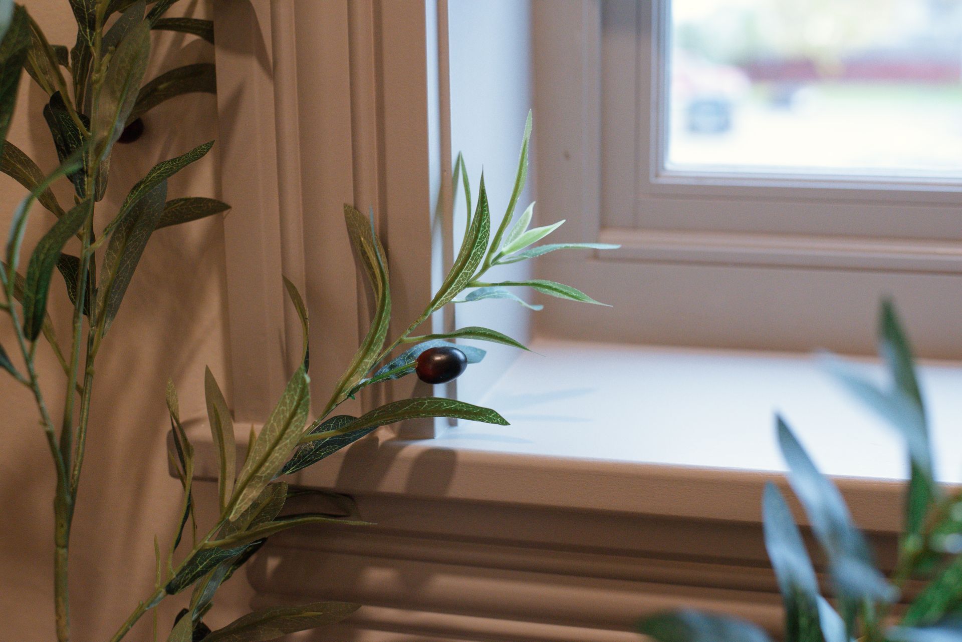 Close-up of faux olive branch near a white window frame.