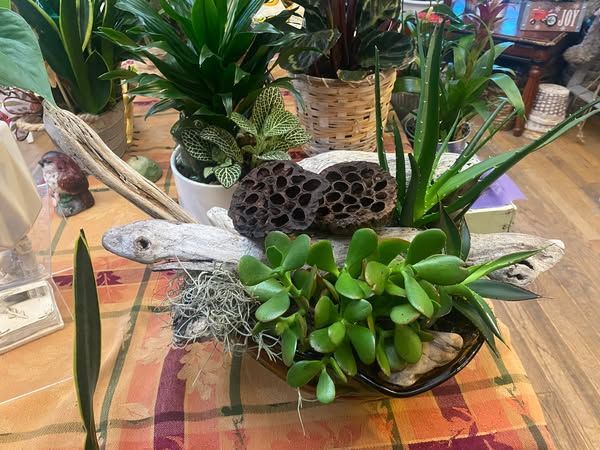 A bunch of potted plants are sitting on a table.