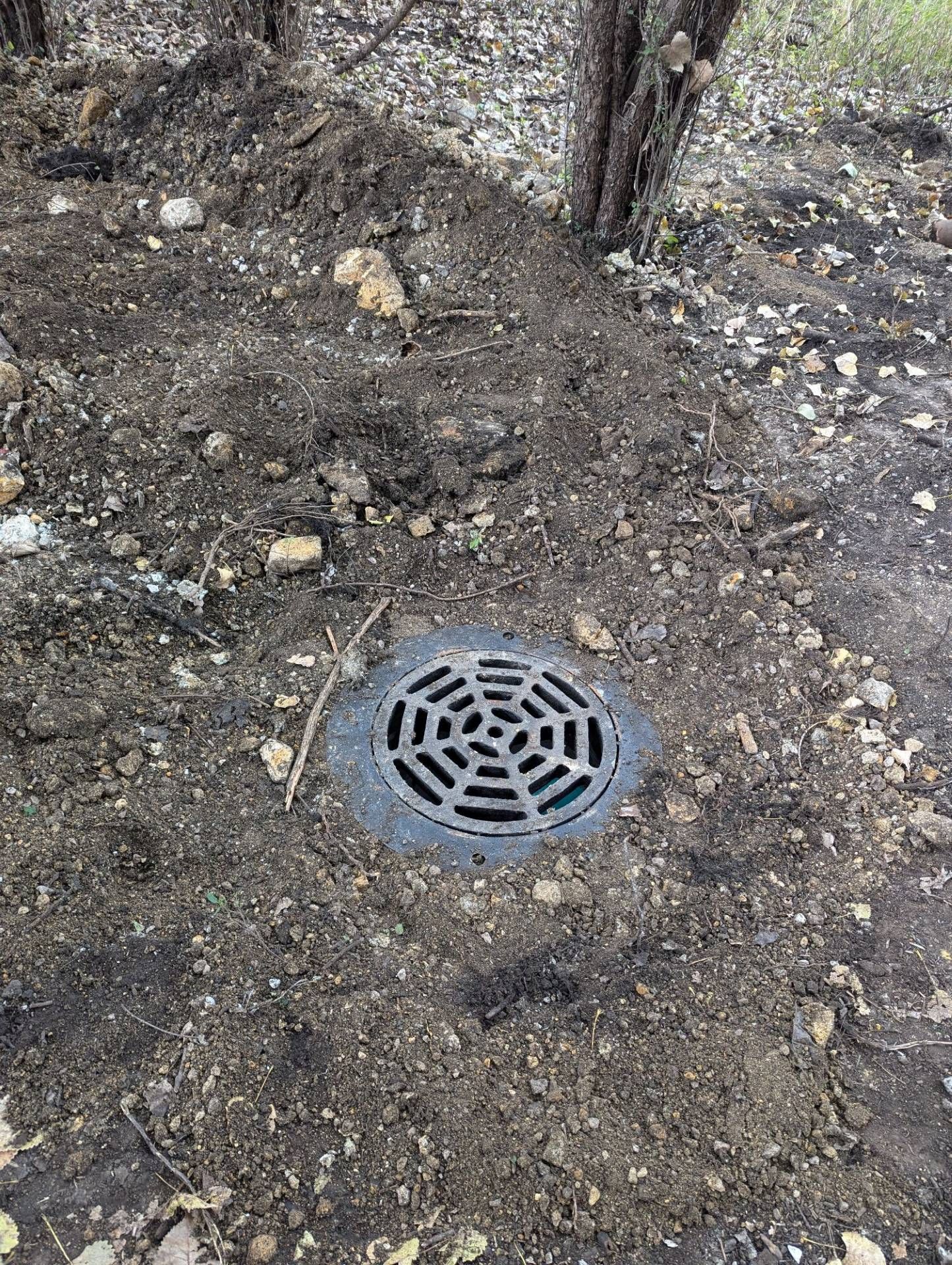 A circular black drain cover in the dirt near a tree.
