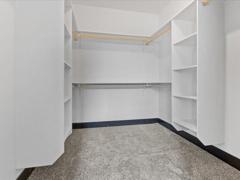 An empty walk in closet with a carpeted floor and white shelves.