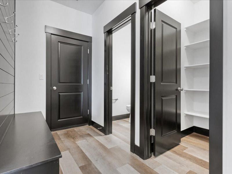 A hallway with black doors leading to a bathroom and a closet.