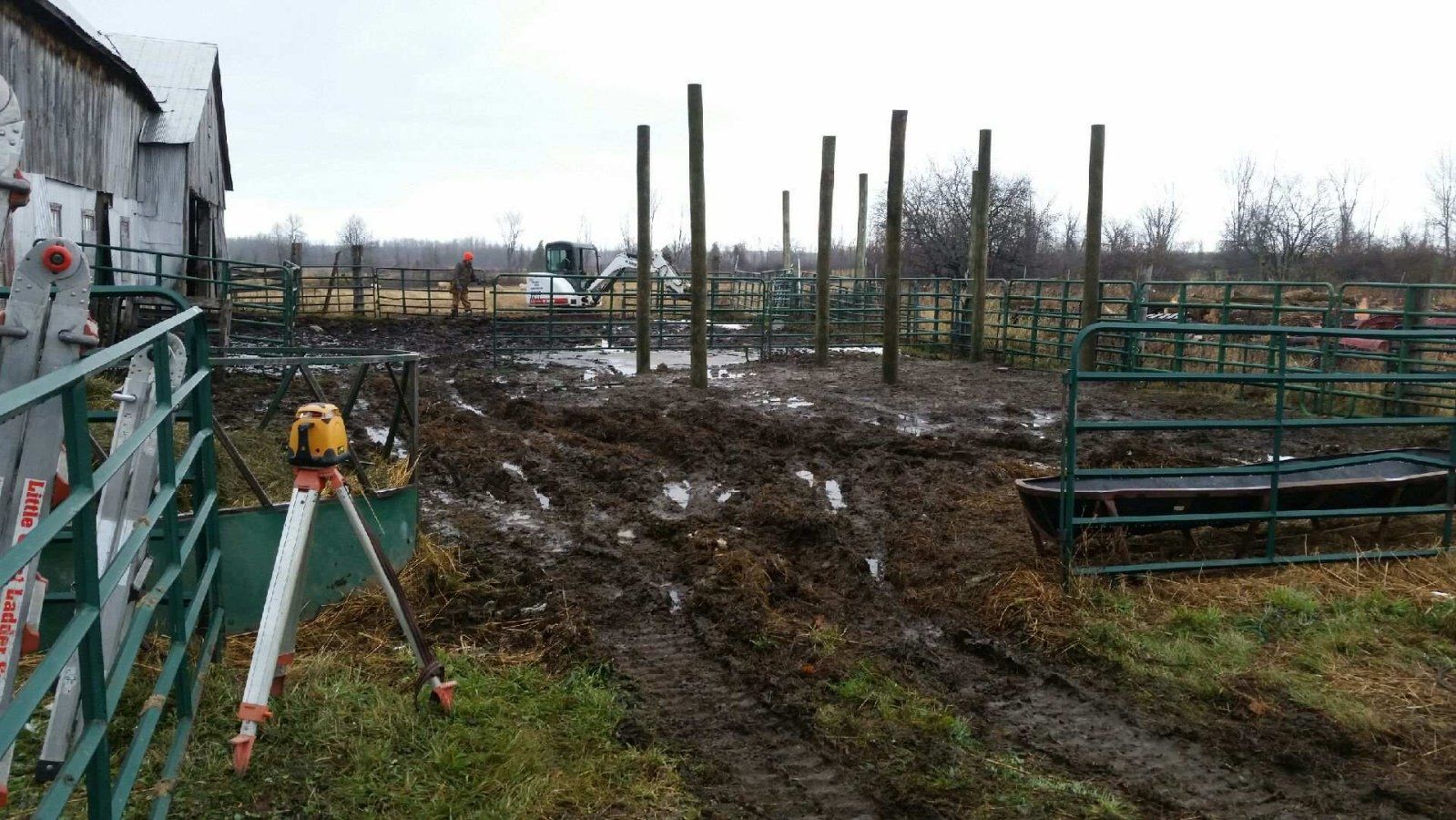 construction in muddy animal pen
