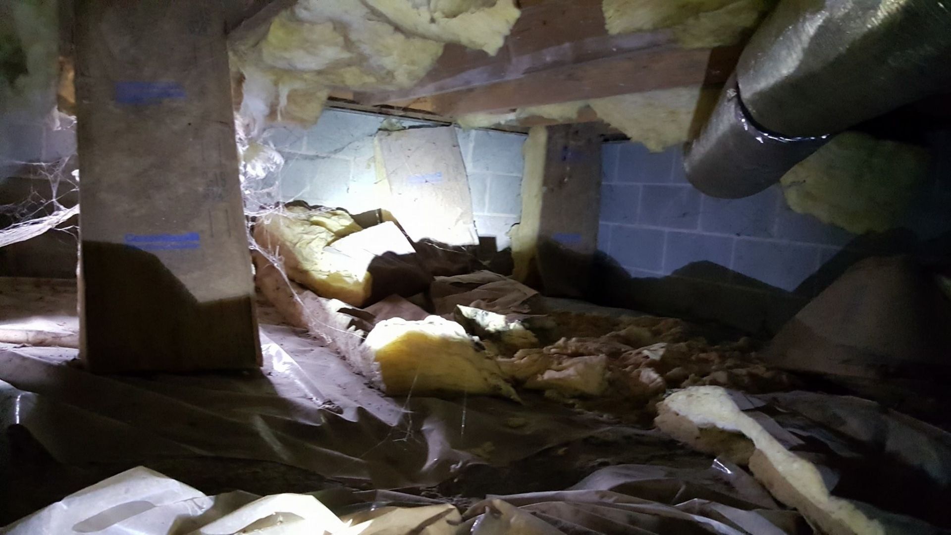 Crawl Space Cleaning and Clean Out