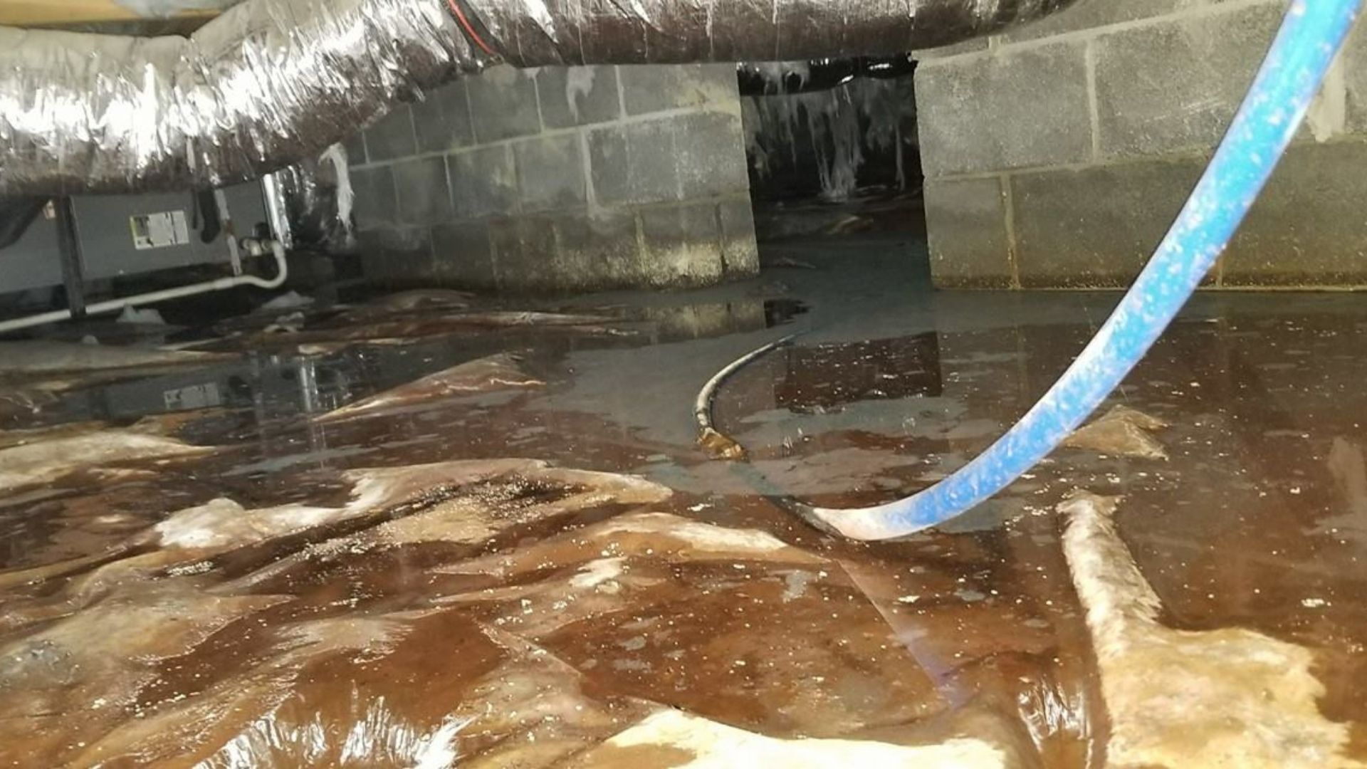 Crawl space water removal